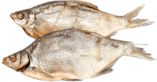 Рыба png